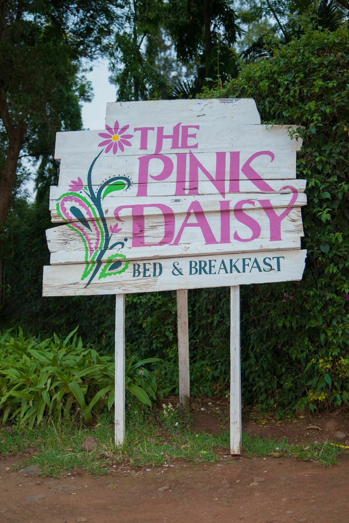 The Pink Daisy Bed And Breakfast Moshi Exteriér fotografie